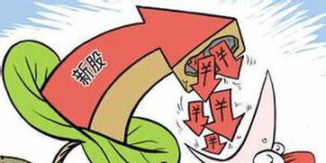 佛山爆料欠薪最新消息今天,多企业被曝光，维权行动持续进行中